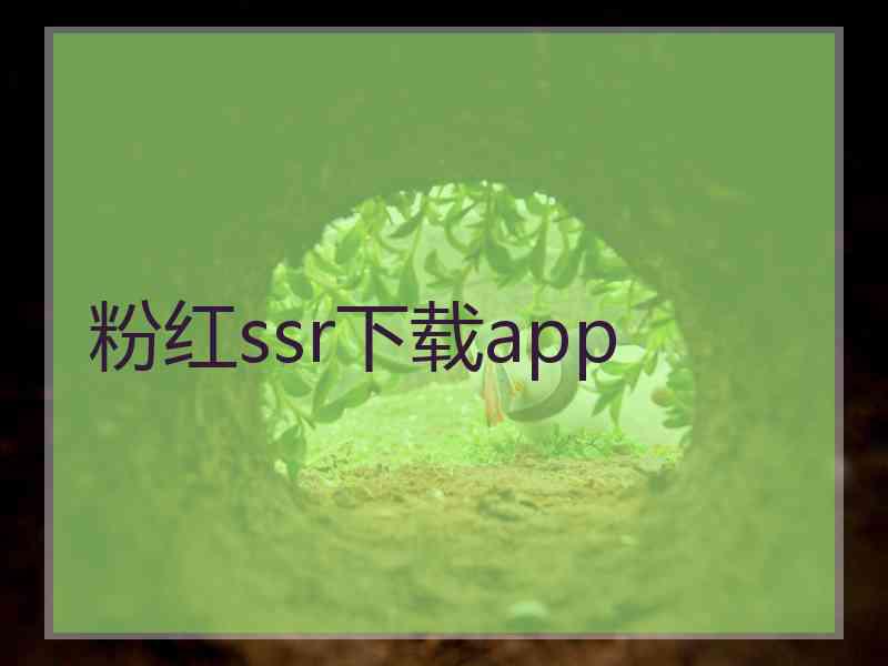 粉红ssr下载app