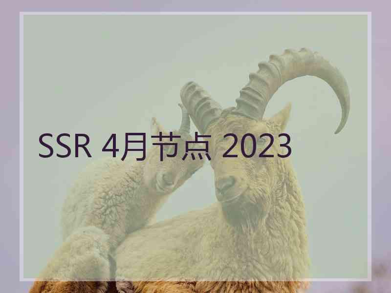 SSR 4月节点 2023