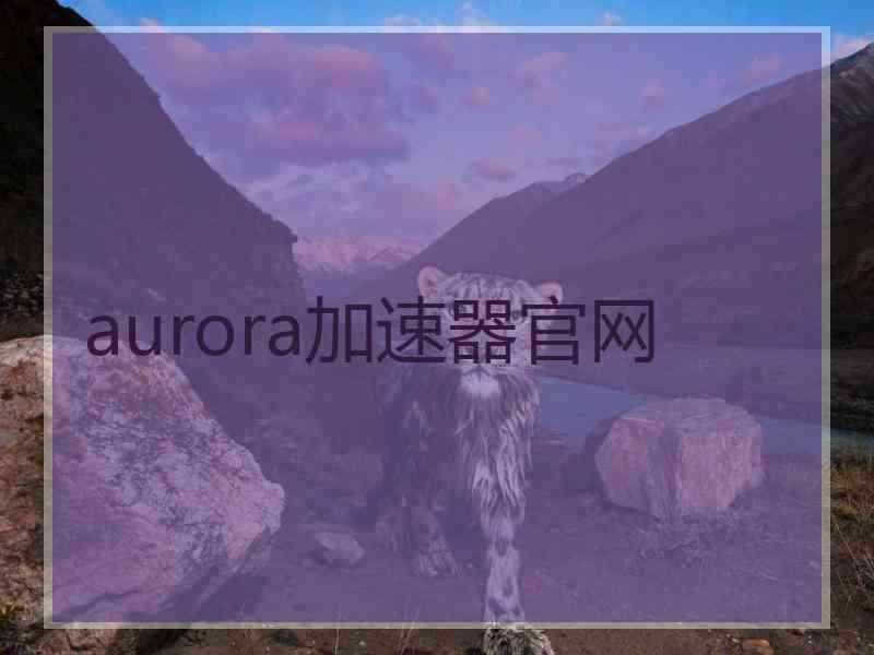 aurora加速器官网