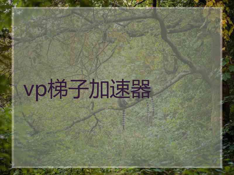 vp梯子加速器