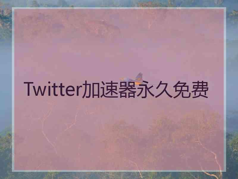 Twitter加速器永久免费