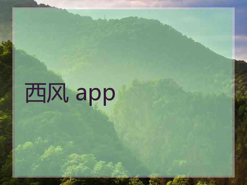 西风 app