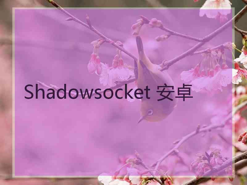 Shadowsocket 安卓