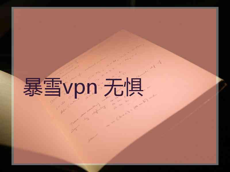 暴雪vpn 无惧