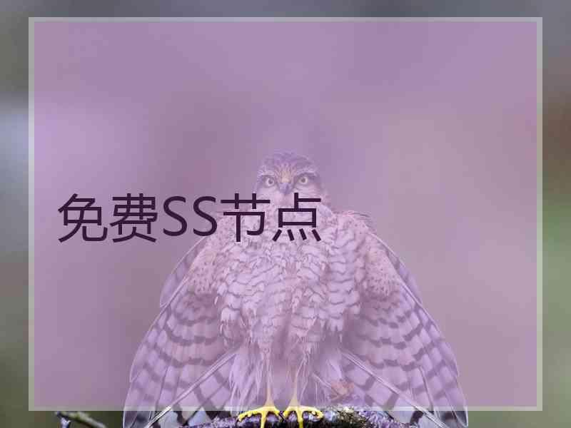 免费SS节点