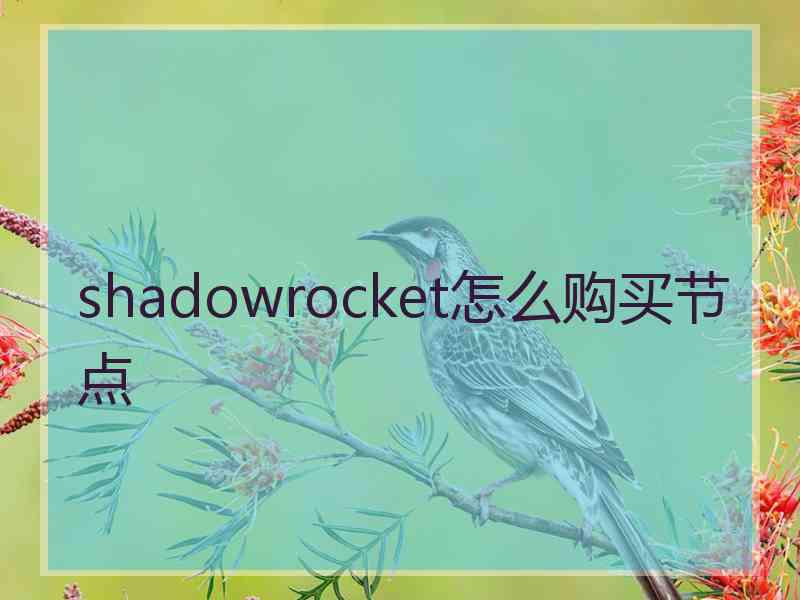 shadowrocket怎么购买节点