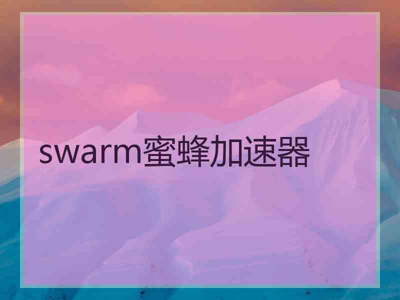 swarm蜜蜂加速器