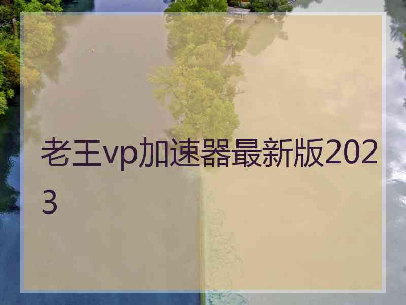 老王vp加速器最新版2023