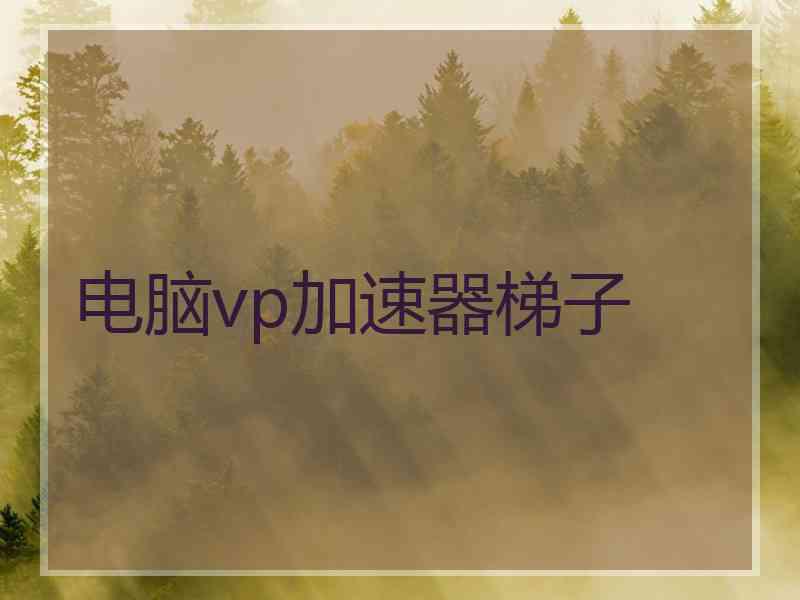 电脑vp加速器梯子