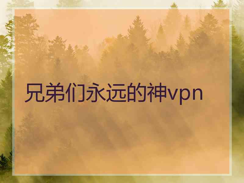 兄弟们永远的神vpn