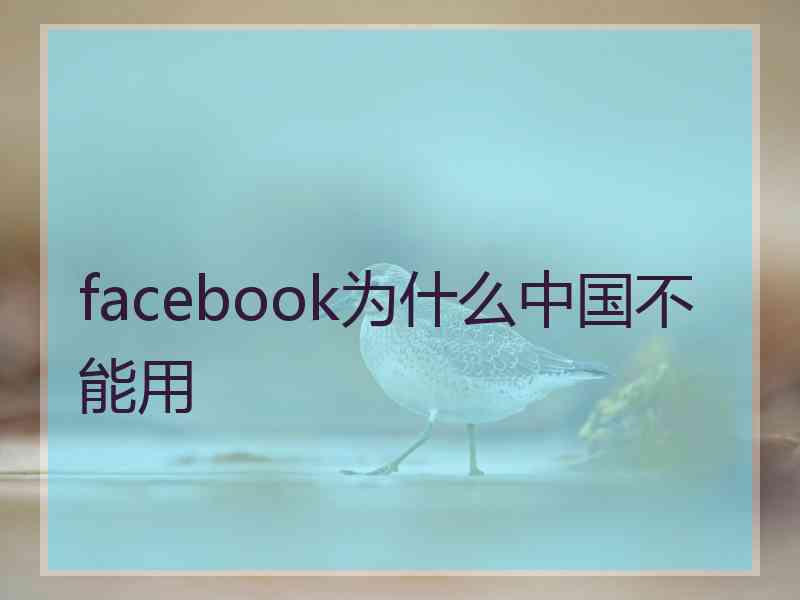 facebook为什么中国不能用