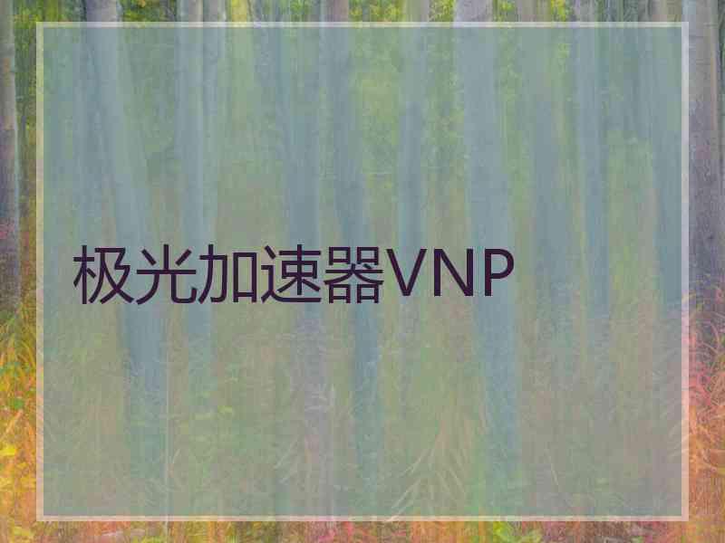 极光加速器VNP