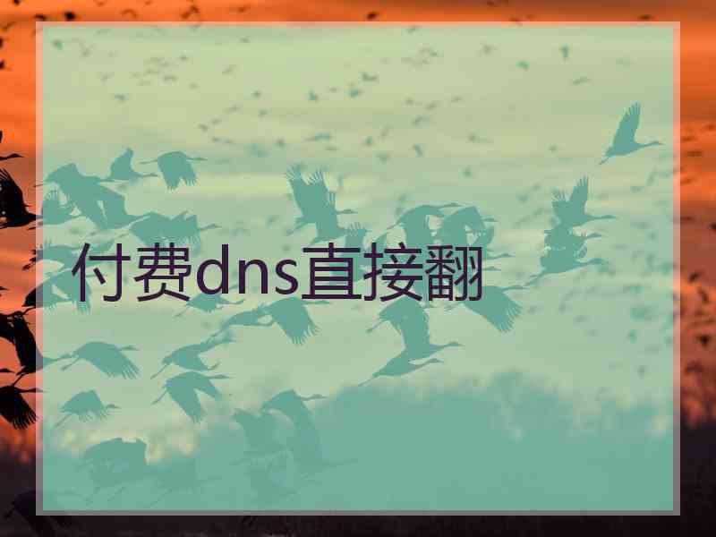 付费dns直接翻