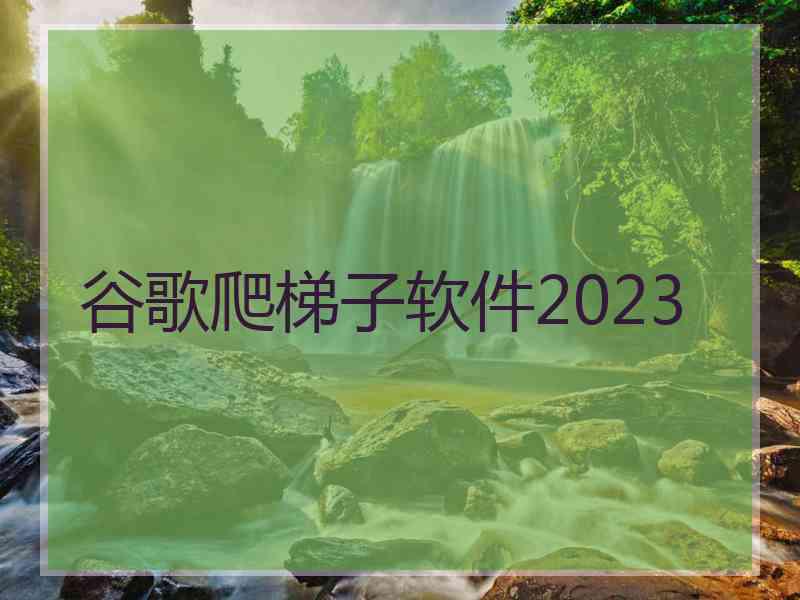 谷歌爬梯子软件2023