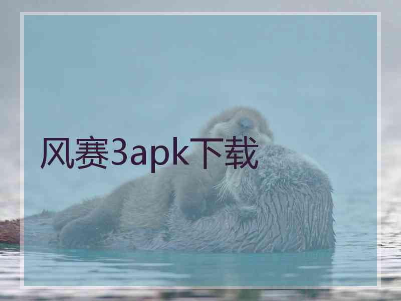 风赛3apk下载