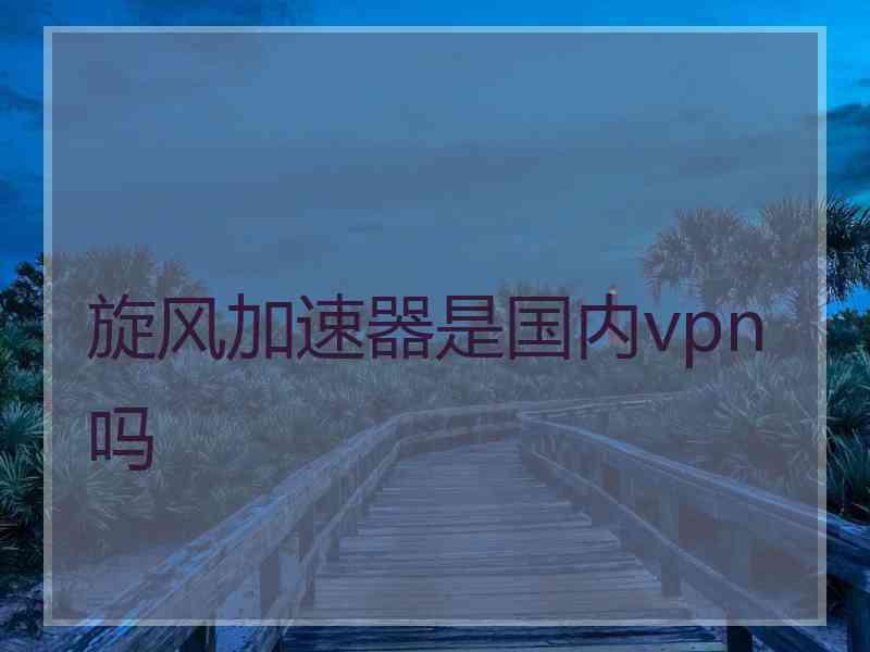 旋风加速器是国内vpn吗