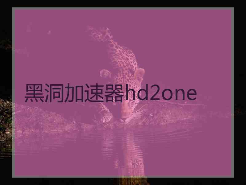 黑洞加速器hd2one