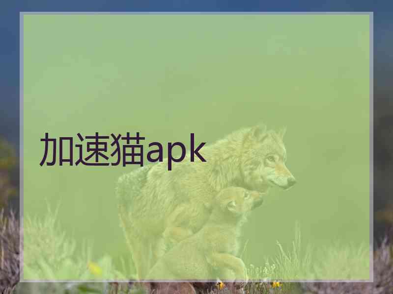 加速猫apk