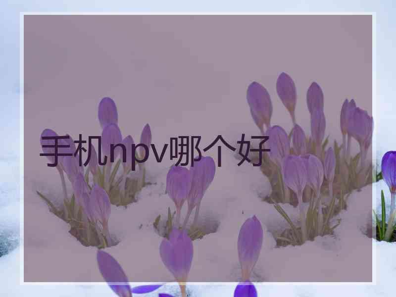 手机npv哪个好