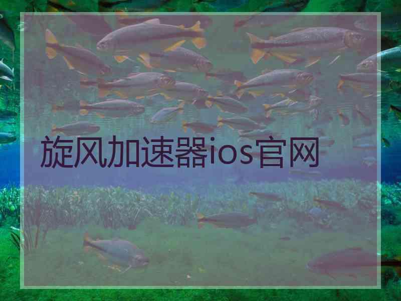 旋风加速器ios官网