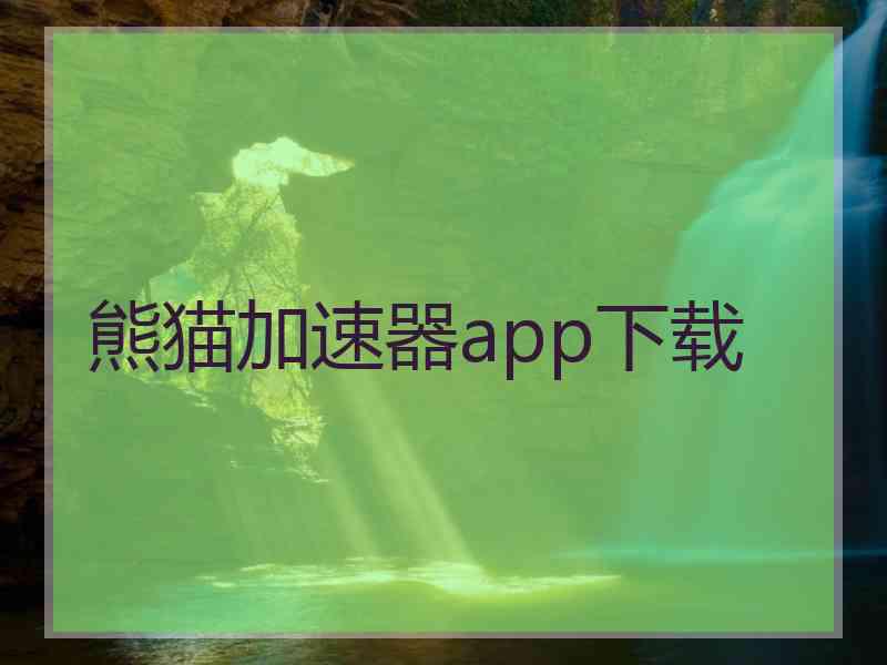 熊猫加速器app下载