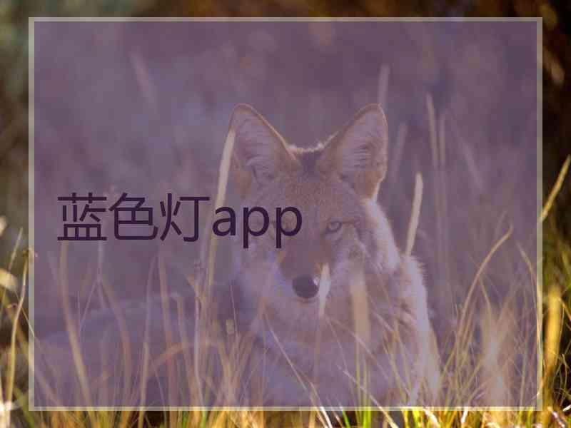 蓝色灯app