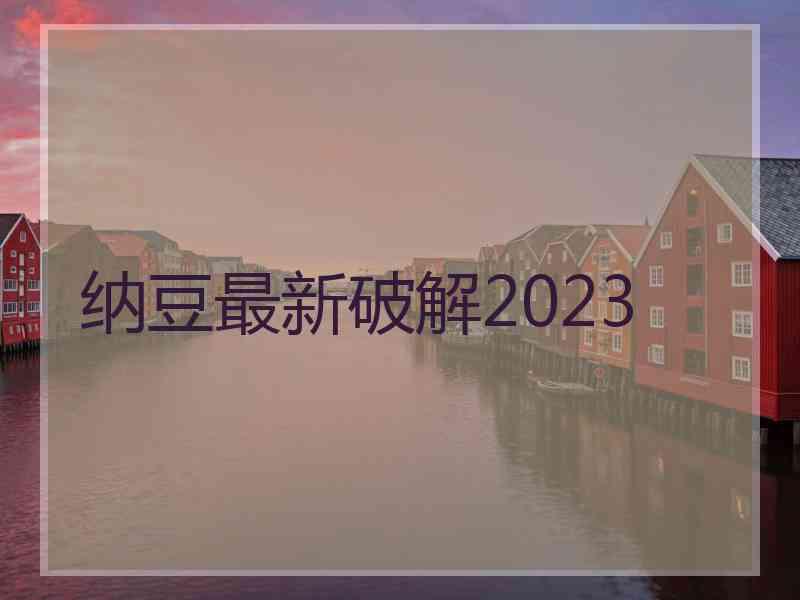 纳豆最新破解2023