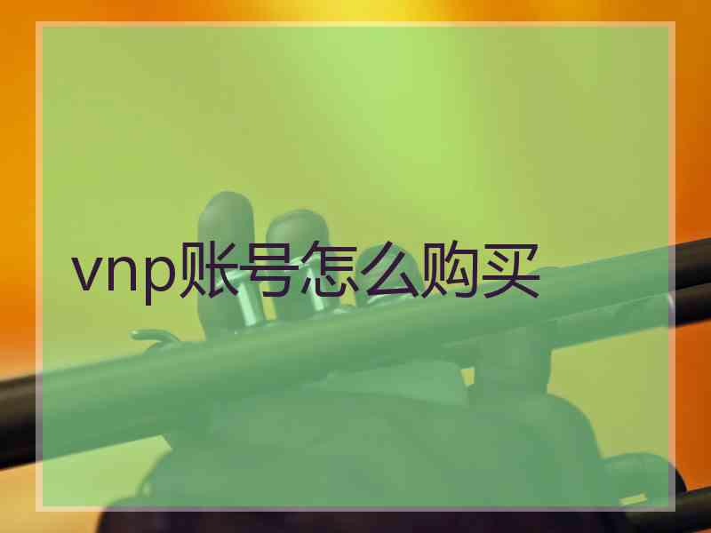 vnp账号怎么购买