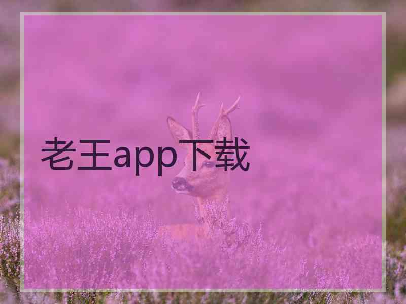 老王app下载