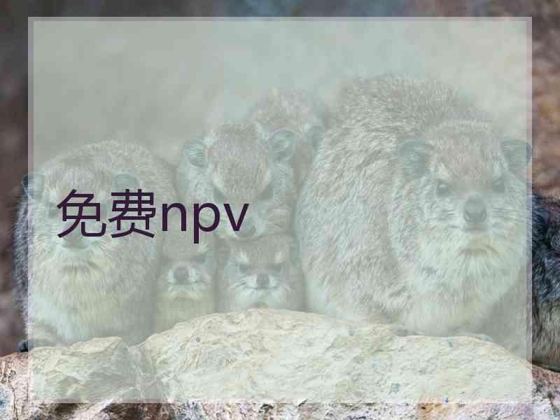 免费npv