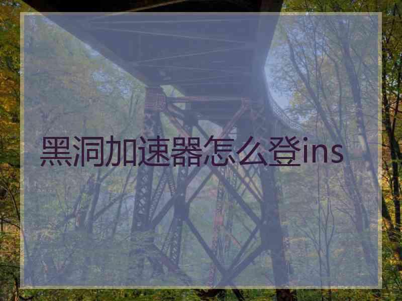 黑洞加速器怎么登ins