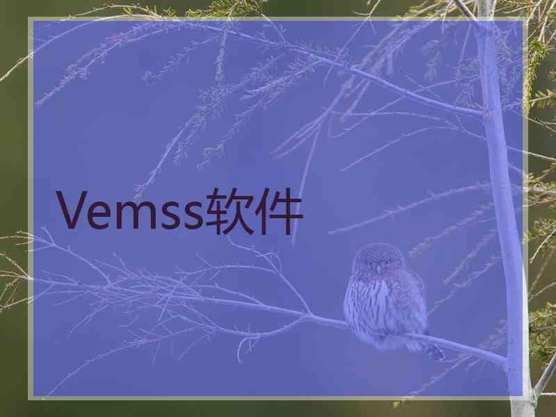 Vemss软件