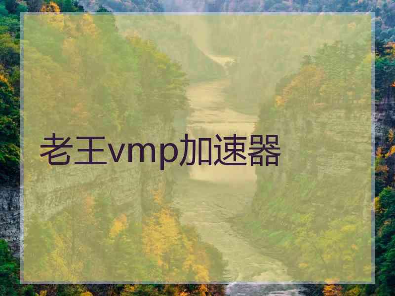 老王vmp加速器