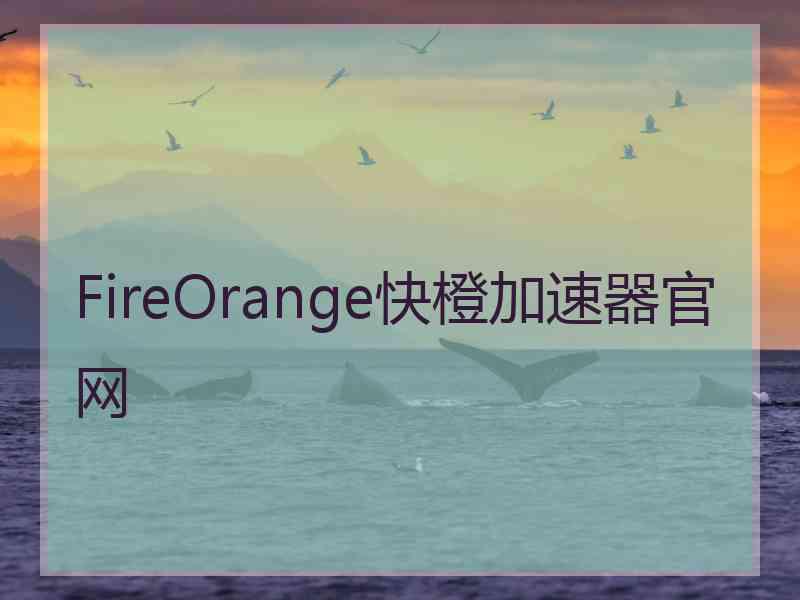 FireOrange快橙加速器官网