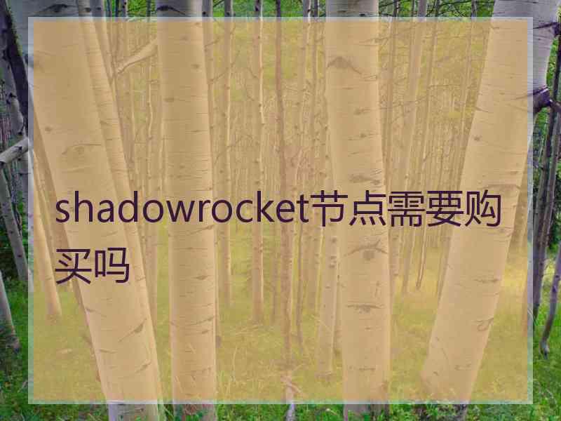 shadowrocket节点需要购买吗