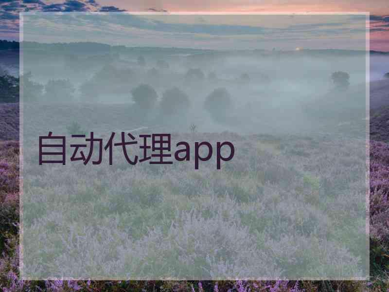 自动代理app