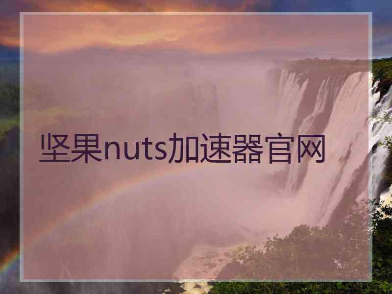 坚果nuts加速器官网