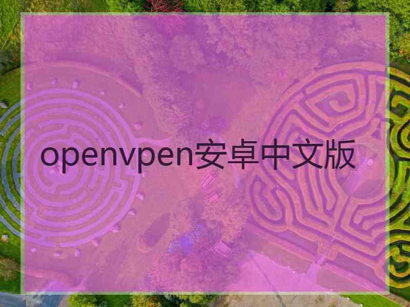 openvpen安卓中文版