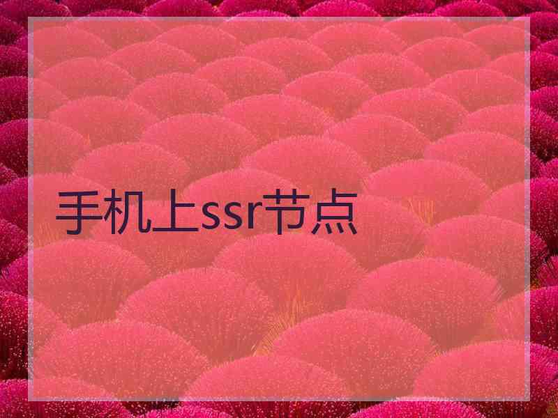 手机上ssr节点