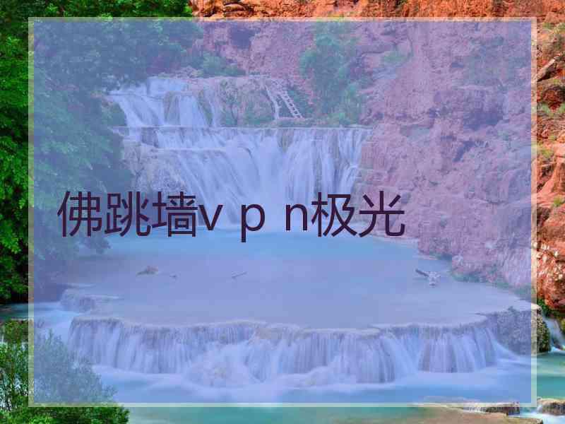 佛跳墙v p n极光