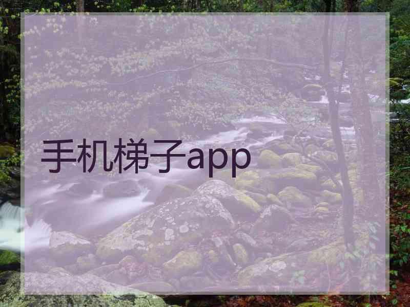 手机梯子app