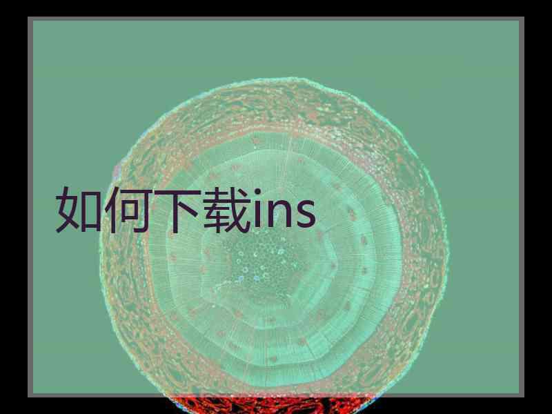 如何下载ins