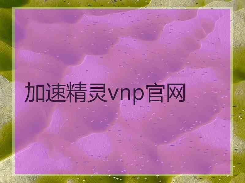 加速精灵vnp官网