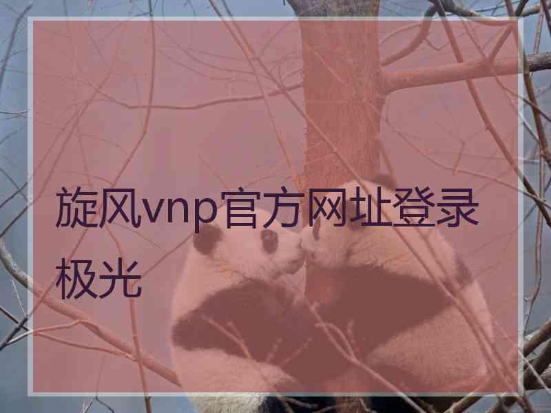 旋风vnp官方网址登录极光