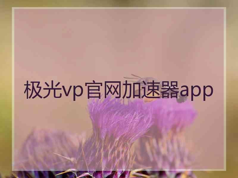 极光vp官网加速器app