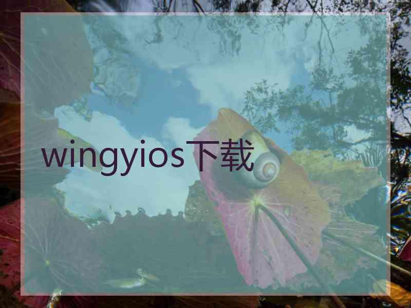 wingyios下载