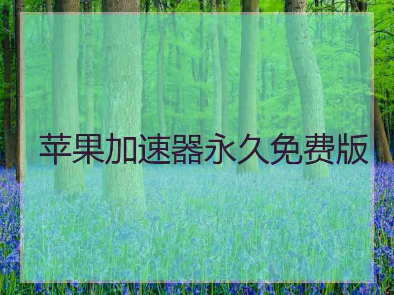 苹果加速器永久免费版