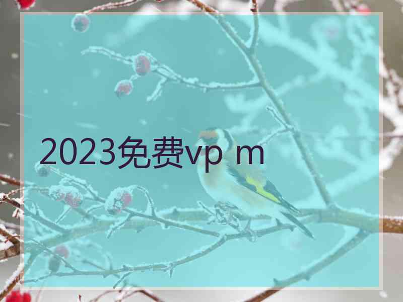 2023免费vp m