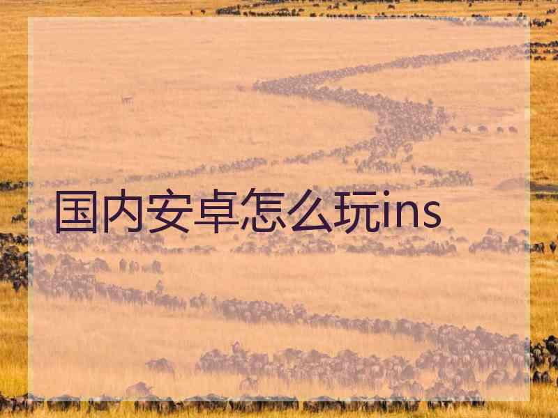 国内安卓怎么玩ins