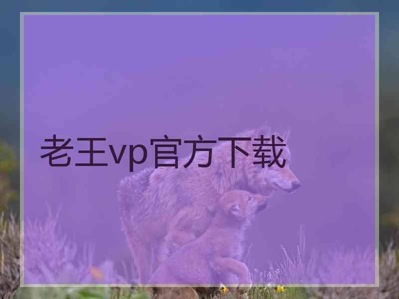 老王vp官方下载